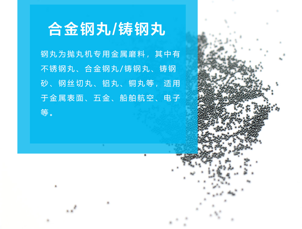 江蘇拋丸機(jī)除銹設(shè)備 1 鑄鋼丸 1